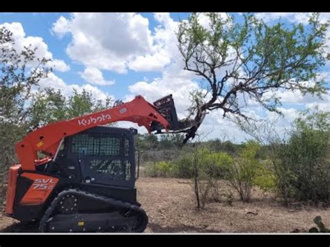 skid-steer for clearing brush and trees|clearing and grubbing equipment.